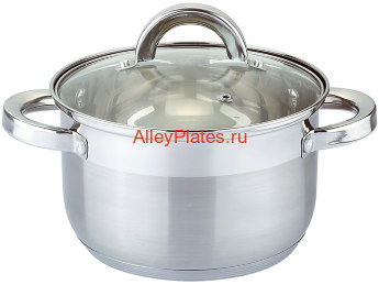 КАСТРЮЛЯ СО СТЕКЛЯННОЙ КРЫШКОЙ, НЕРЖ. СТАЛЬ 3,9 Л 20*12,5 СМ. 