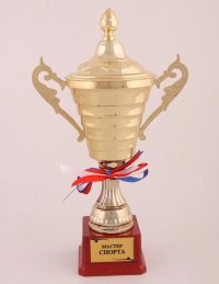 КУБОК "МАСТЕР СПОРТА " ВЫСОТА=35 СМ.