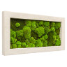 Живые картины покрытые мхом 100X50 cm #29